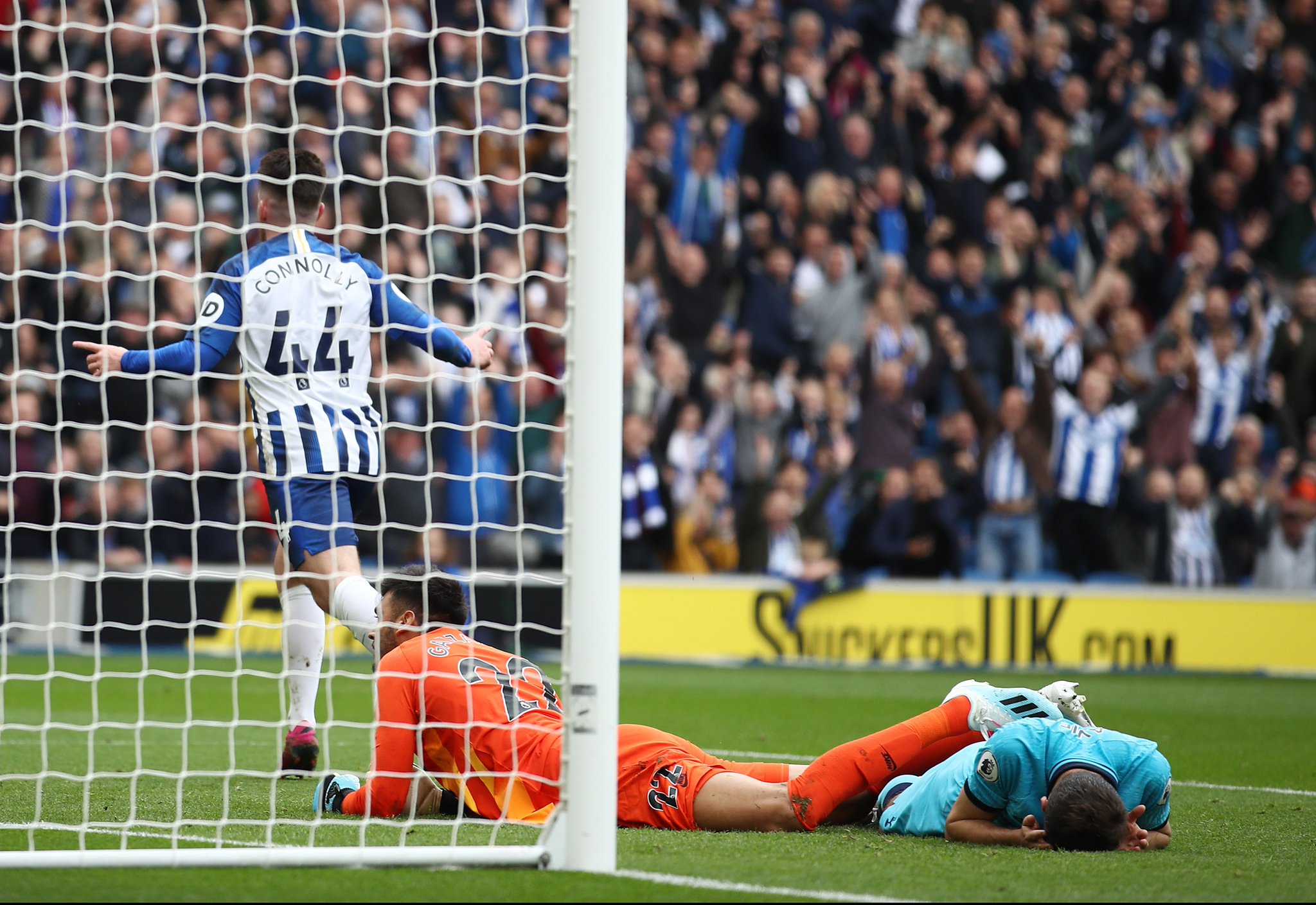 全面升级的 全面升级的